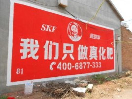德清刷墙广告”蕴含了时代命题