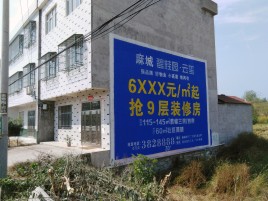 德清墙体广告质量分析